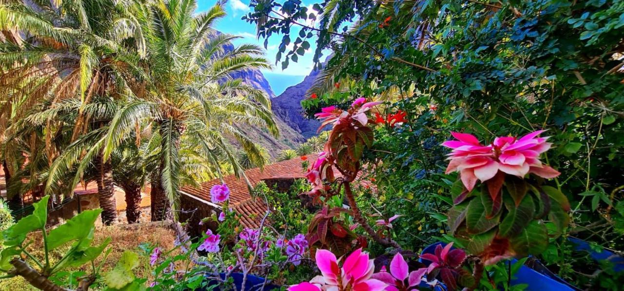 Ocean View Tenerife Сан-Мігель-де-Абона Екстер'єр фото